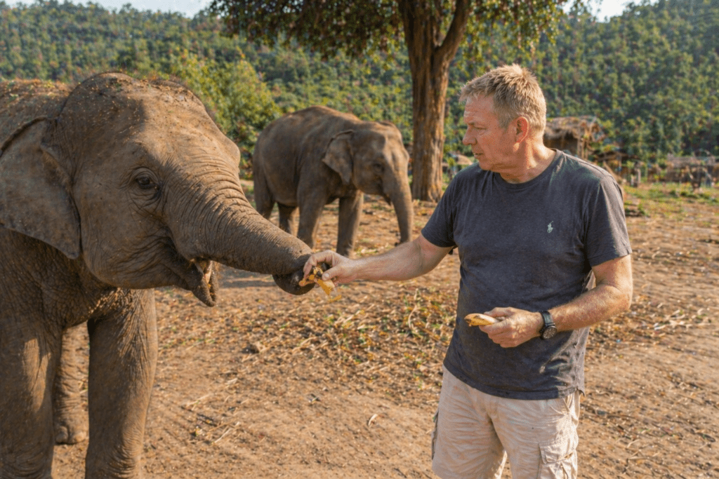 Elephant Mistreatment In Thailand