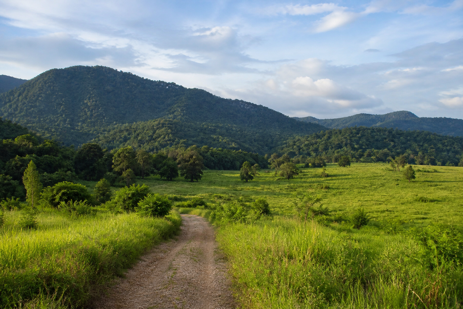 Why Khao Yai Works for a Luxury Thailand Escape
