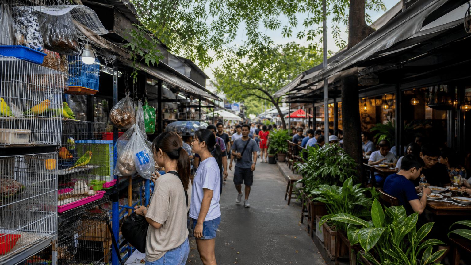 Chatuchak Pet Zone Route and Local Restaurants