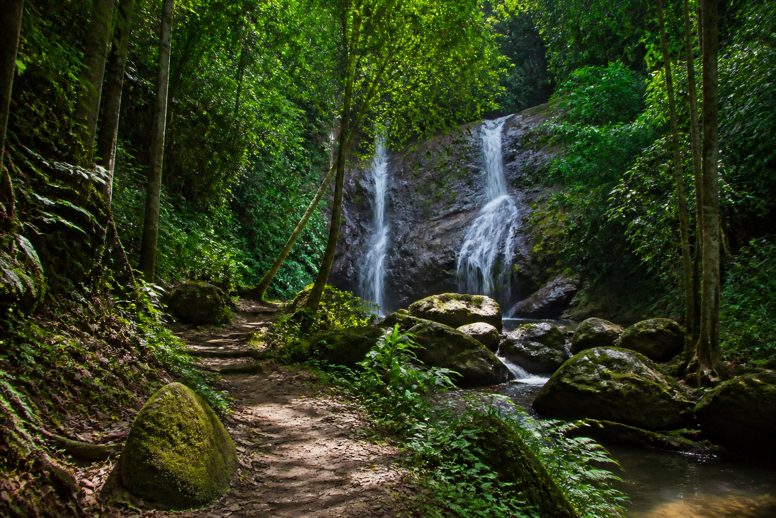 Story 4: Exploring Khao Sok Jungle