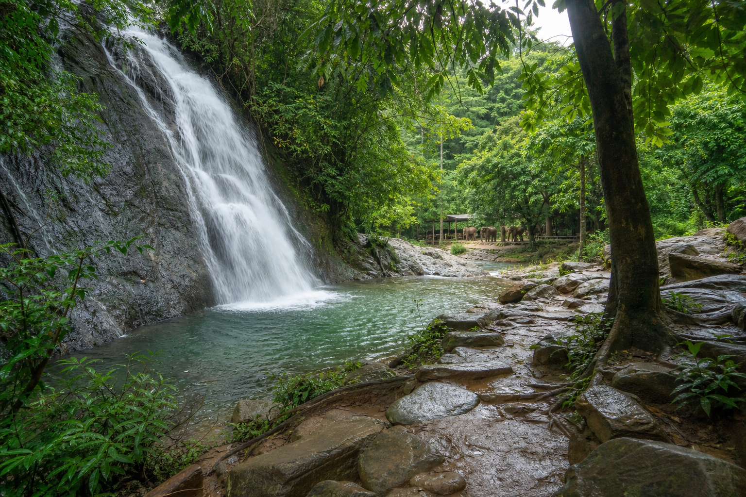 Exploring Waterfalls and an Elephant Camp
