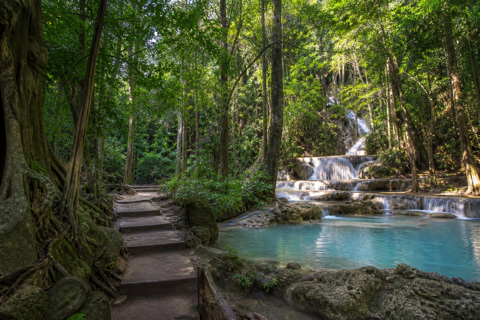 Kanchanaburi's Historic Tree Park