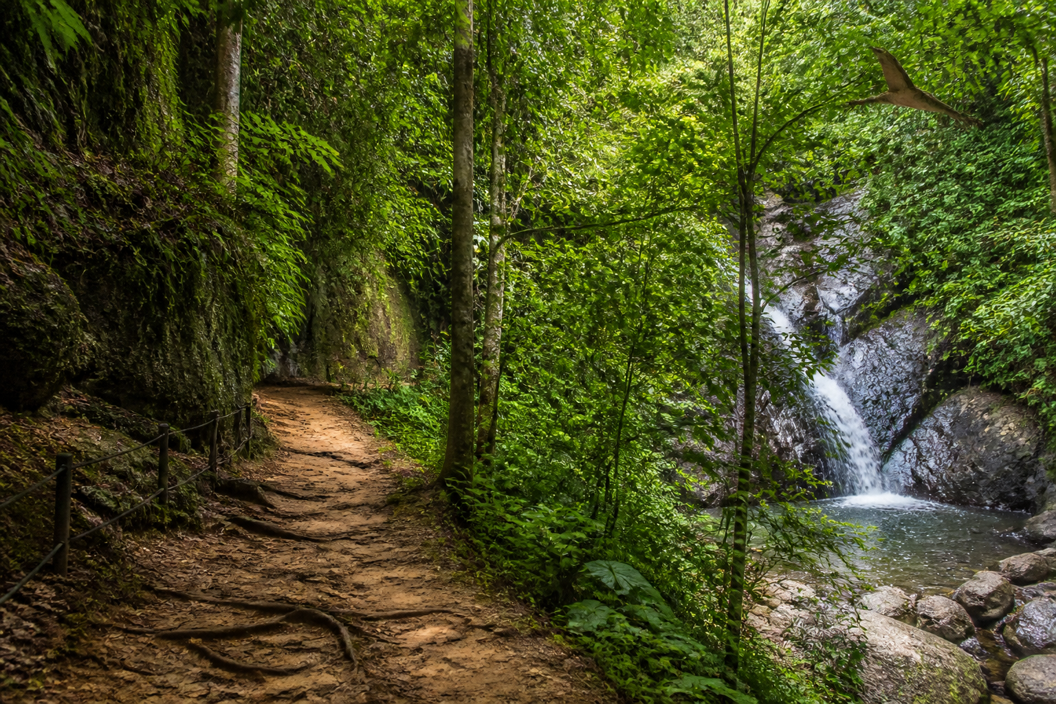 Khao Lak Jungle Hike and Wildlife