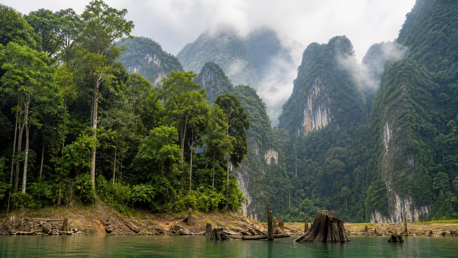 Story 2: Khao Sok Ancient Rainforest