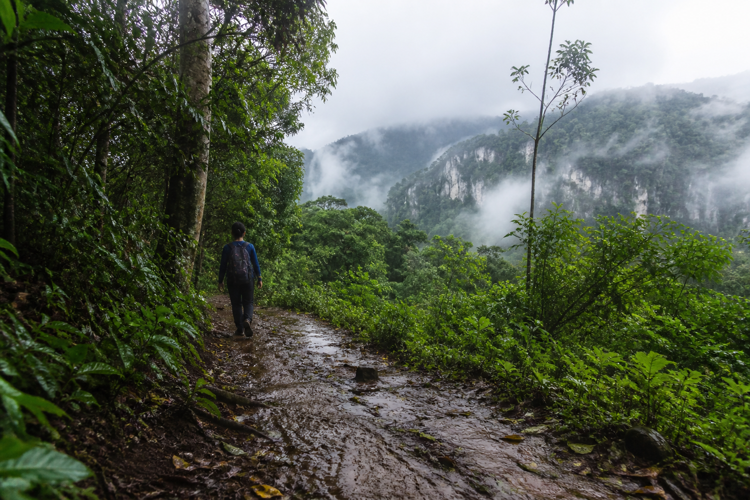Khao Yai Hiking in Thailand During Rainy Season