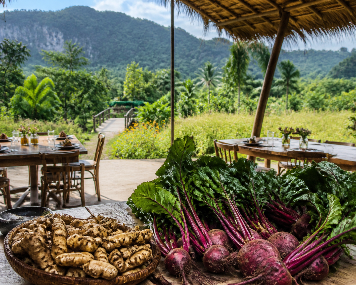 Organic Farm Lunch in Khao Yai