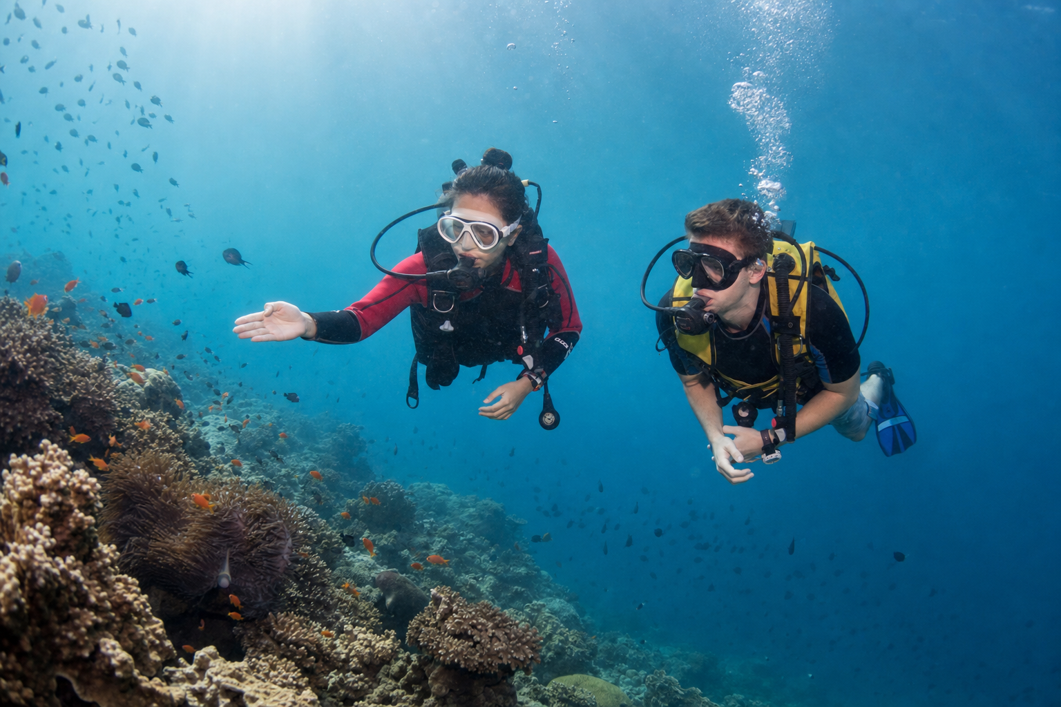 Learn to Scuba Dive Around Koh Tao
