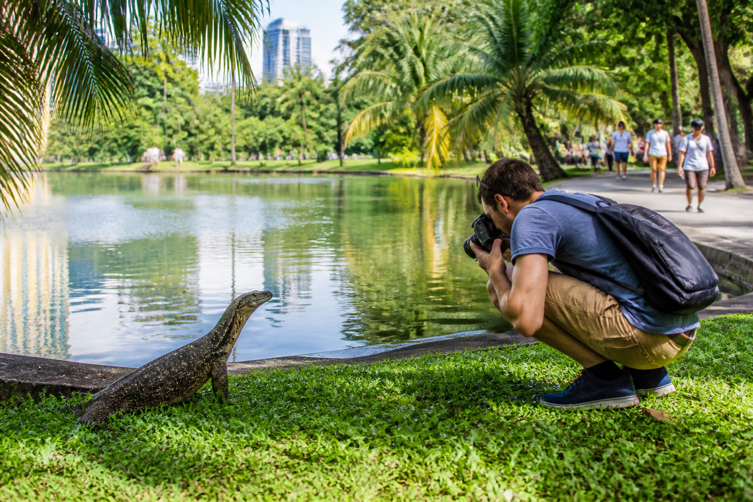 Lumpini Park Monitor Lizard Encounter in Bangkok