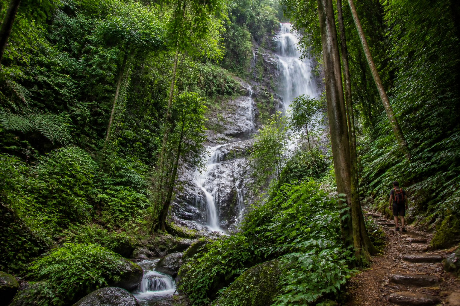 Mae Kampong Waterfall Hike and Jungle Walk