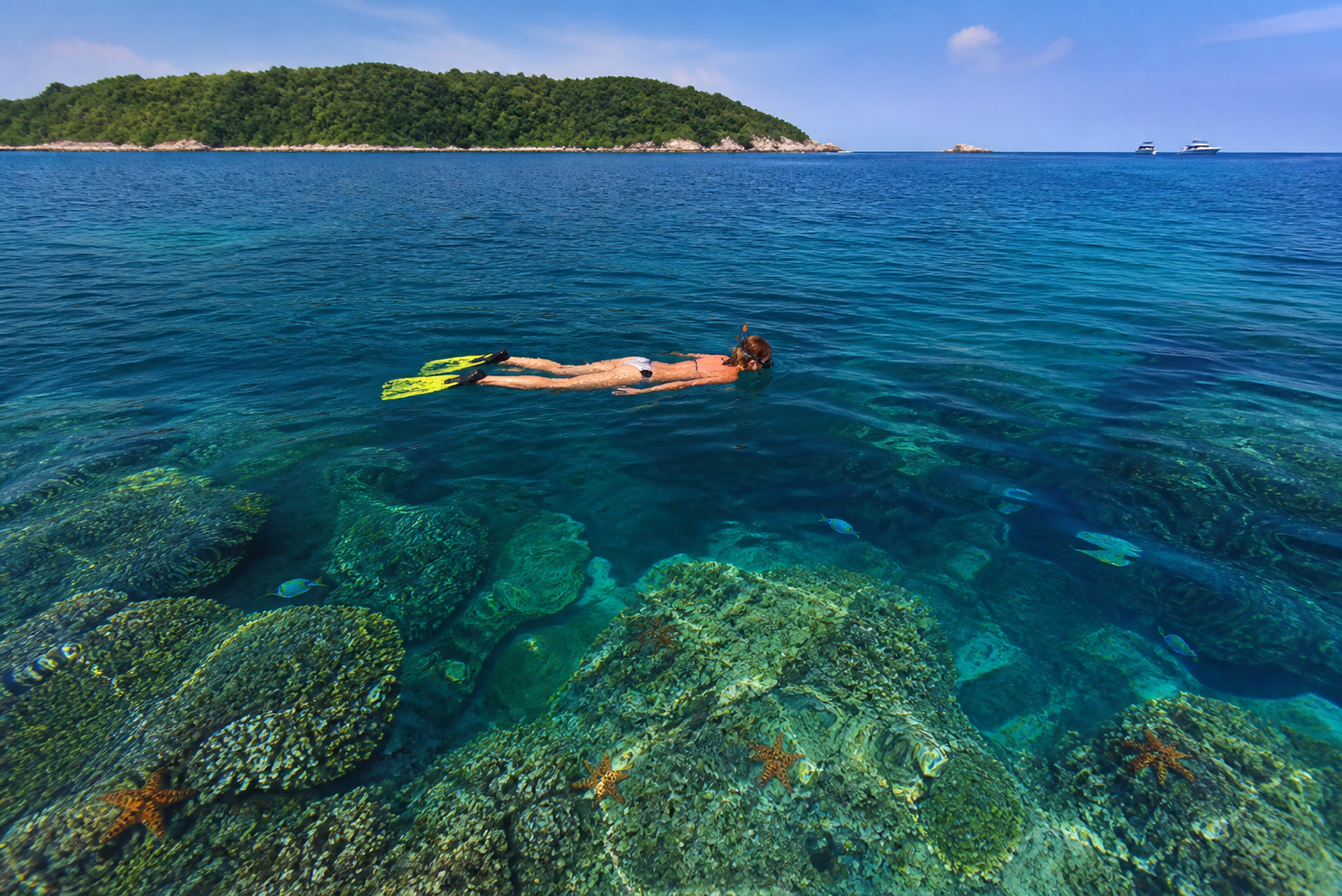 Number Five Koh Racha Near Phuket