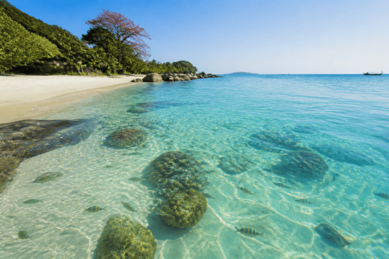 Thailand Snorkelling Guide Five Best Spots
