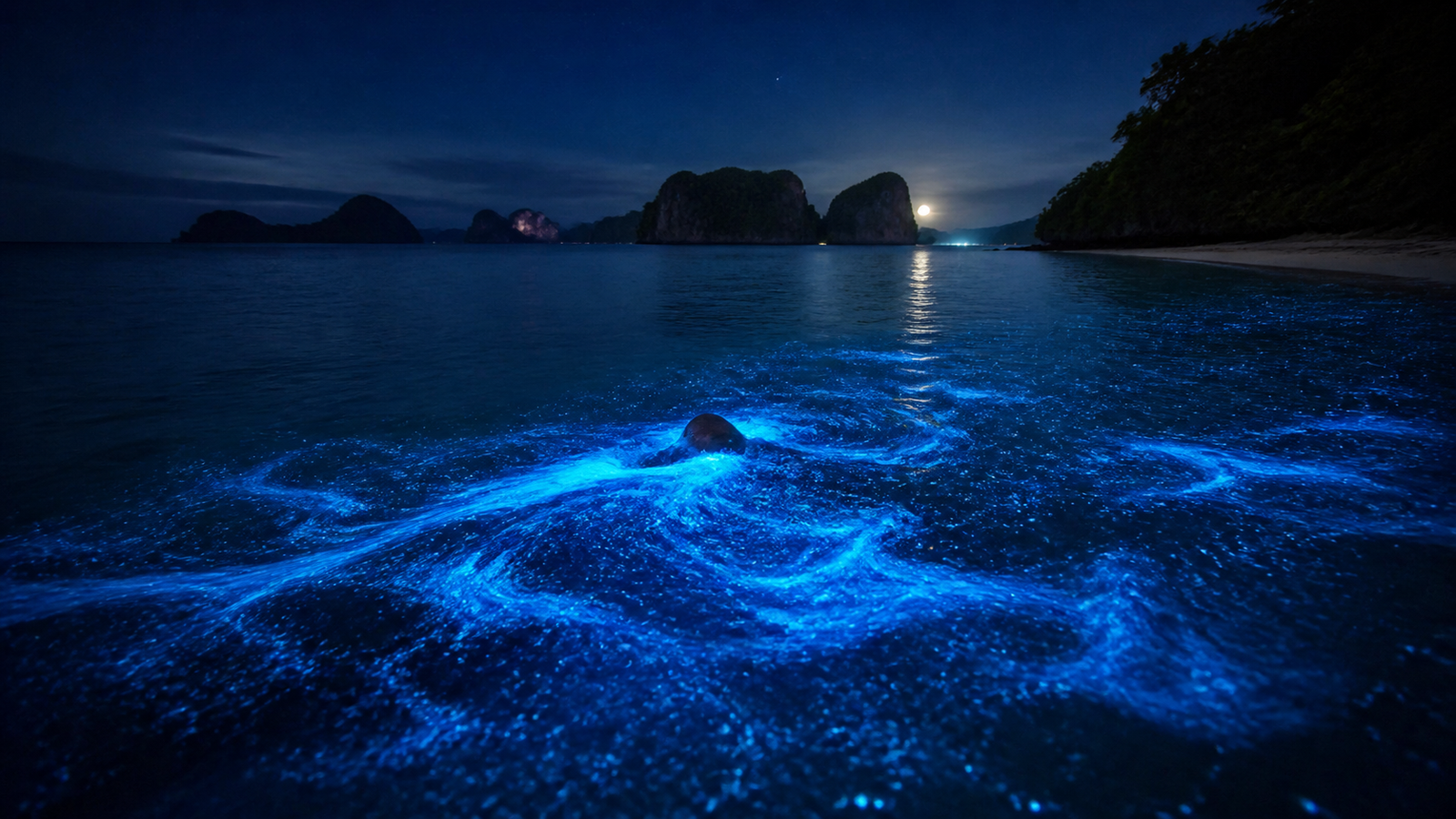 Story 2: Swimming With Bioluminescent Plankton