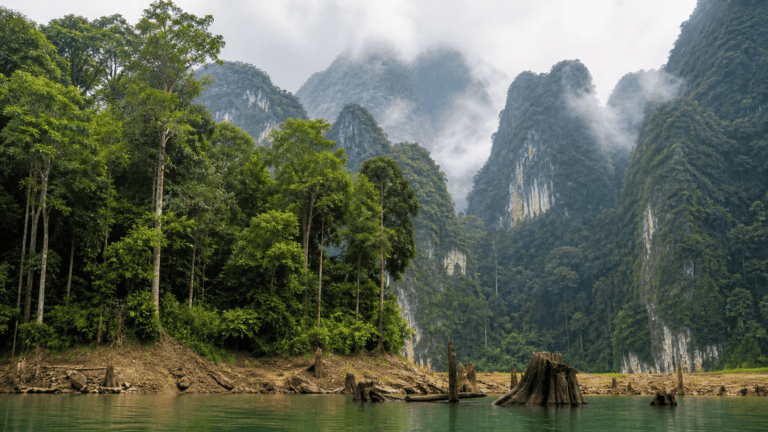 Story 3: Bamboo Rafting on the Khlong Sok River