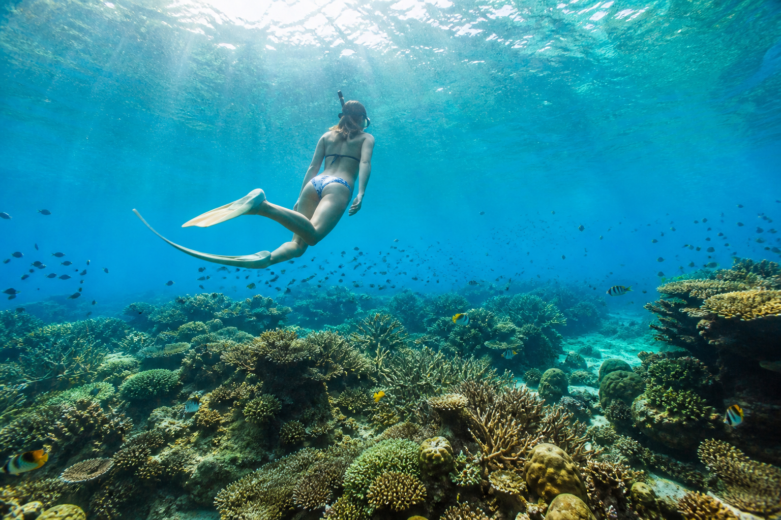 Story 4: Snorkeling in Thailand