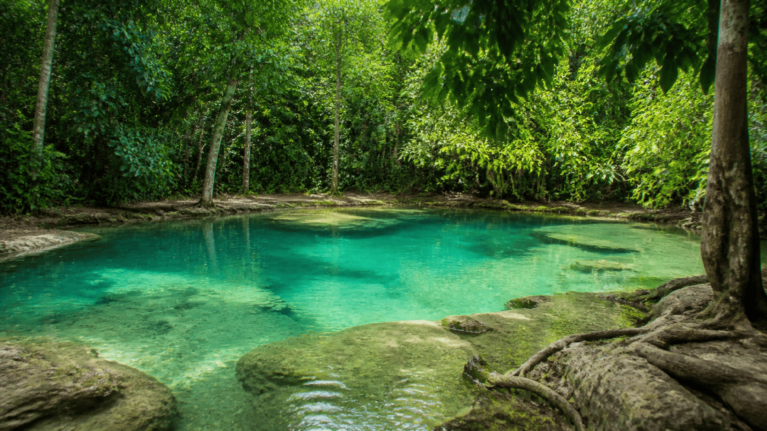 Story 7: Banyan Tree Krabi and Rayavadee