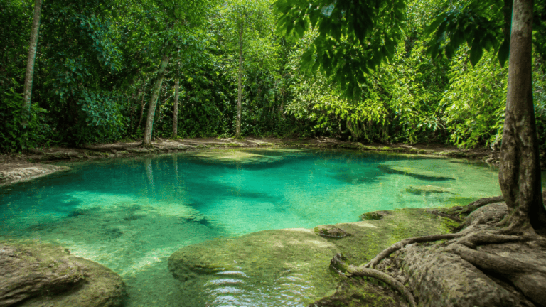 10 Best Things to Do in Krabi in 2026