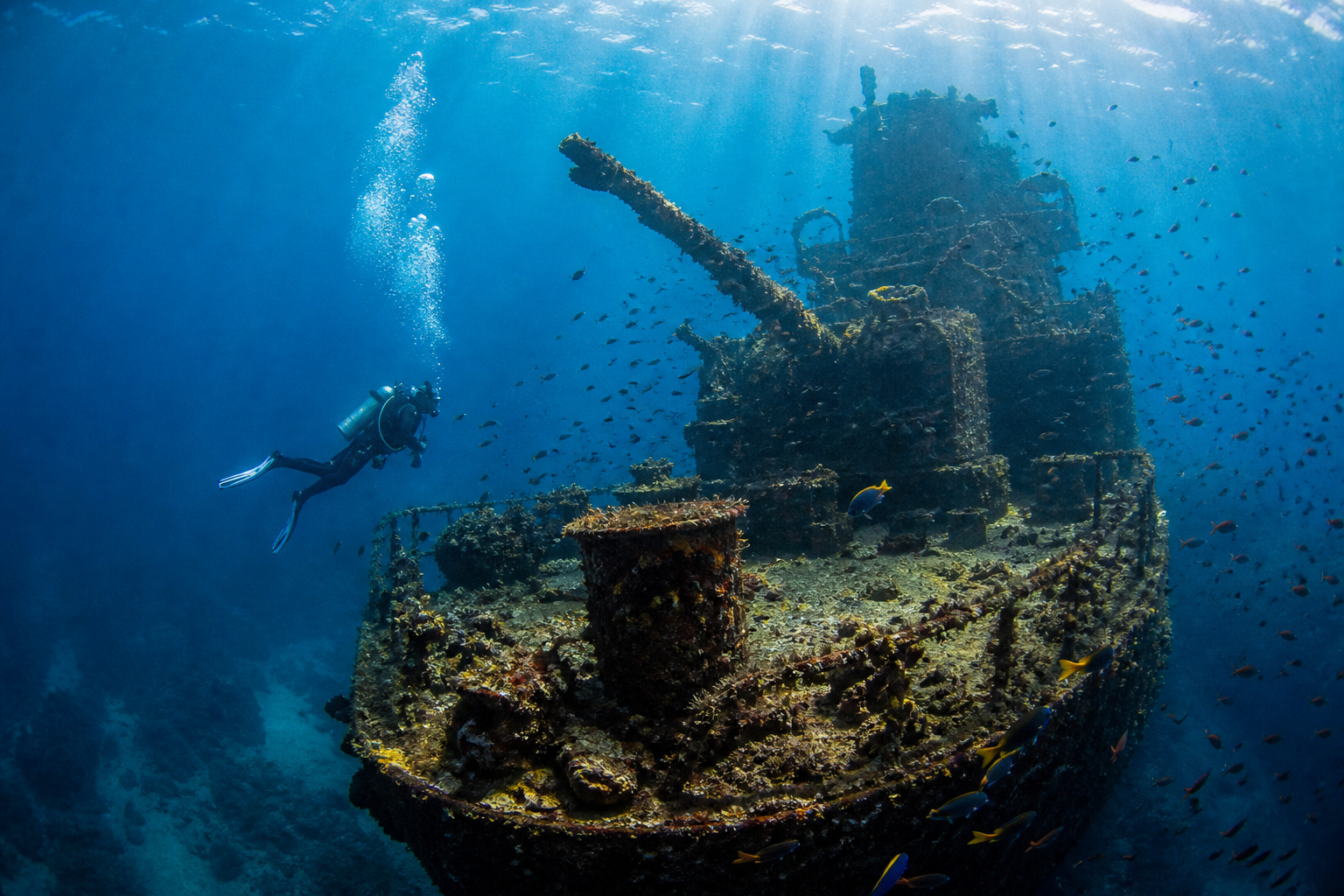 The Best Dive Sites in Thailand