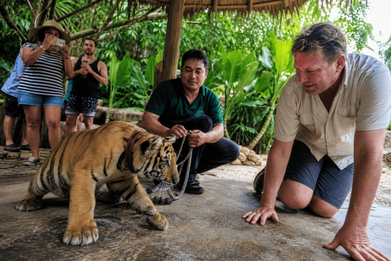 The Tiger Attack