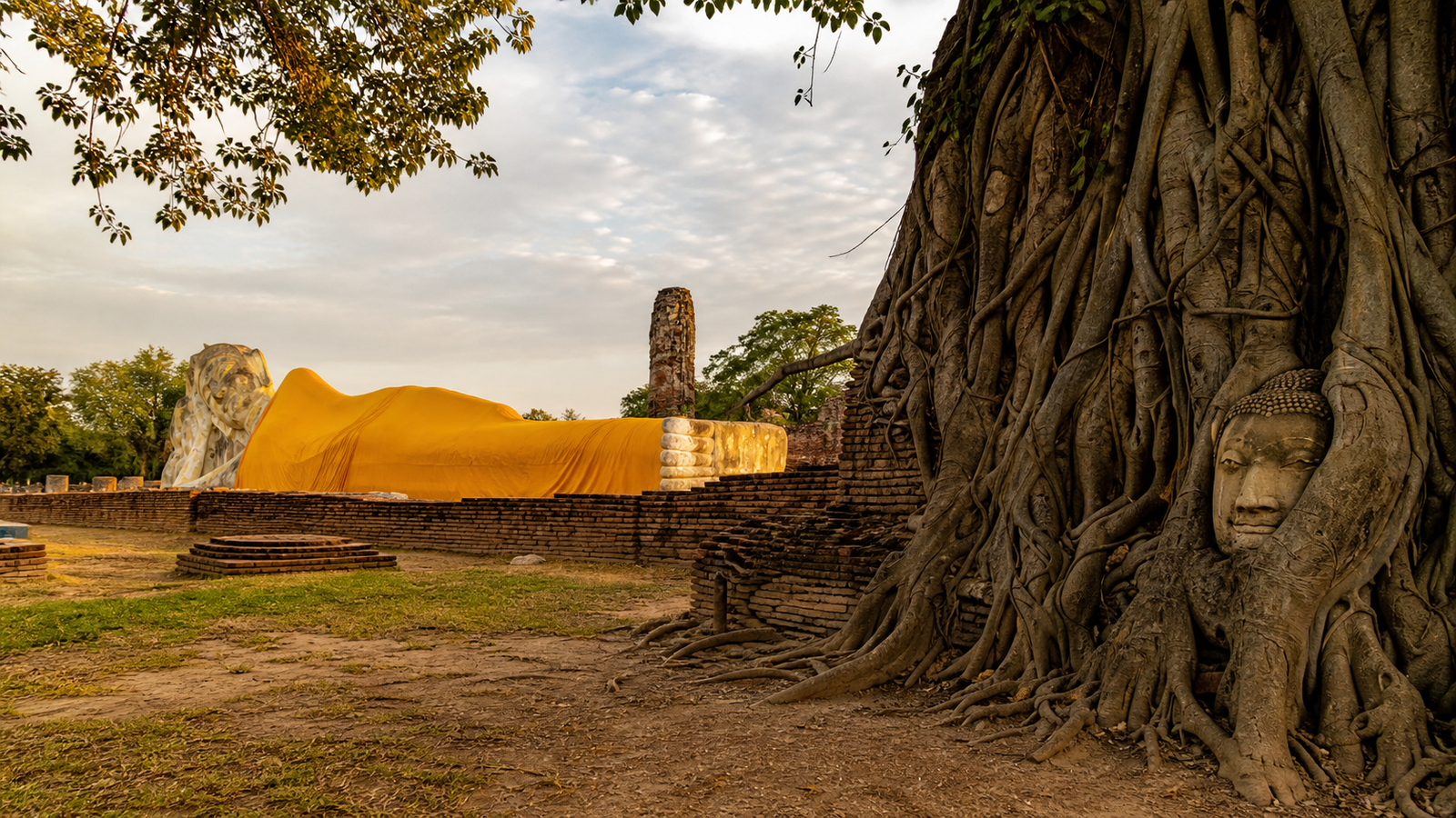 Number 5: See the Buddha Head at Wat Mahathat