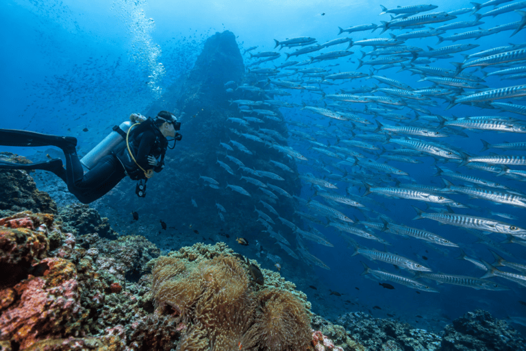The 7 Natural Wonders of Thailand